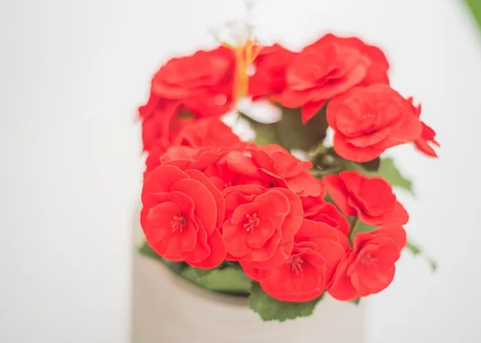 The Terraces Luxury Penthouses, 1d * Santa-Cruz de Ténérife