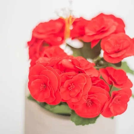 The Terraces Luxury Penthouses, 1d * 圣克鲁斯-德特内里费